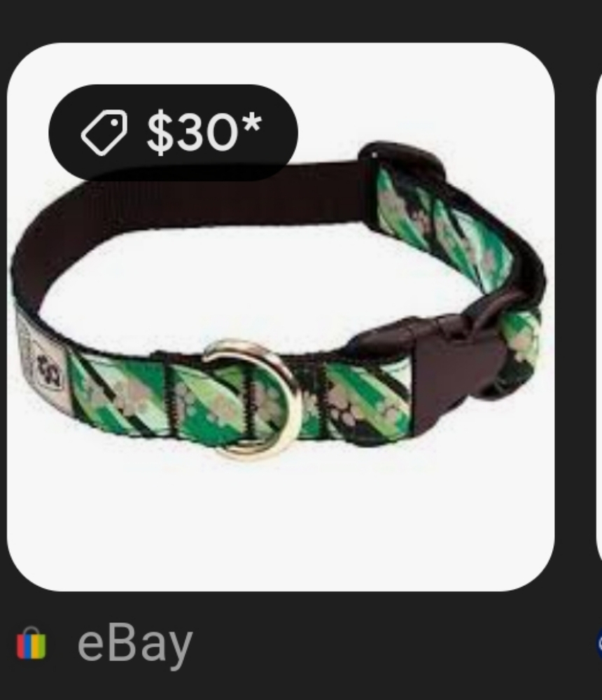 Play On DOG COLLAR 🐕 - Picture 16 of 16